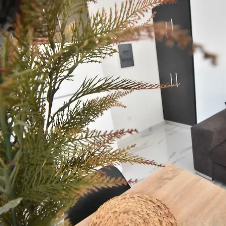 Апартаменты Anesis *